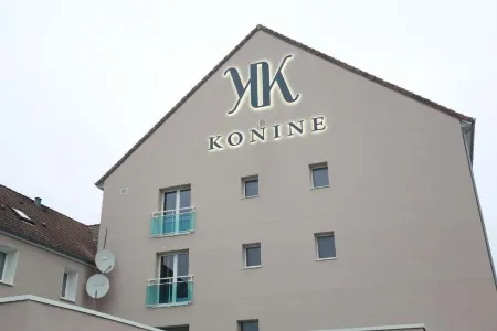 Konine - Hotel & Bar & Restaurant Отели в г. Монсо-ле-Мин