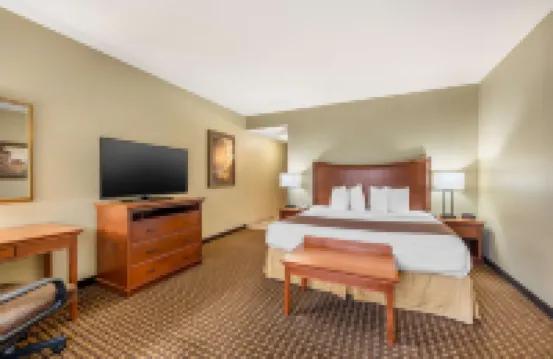 Best Western Plus Grand Island Inn  Suites Hotels in 
