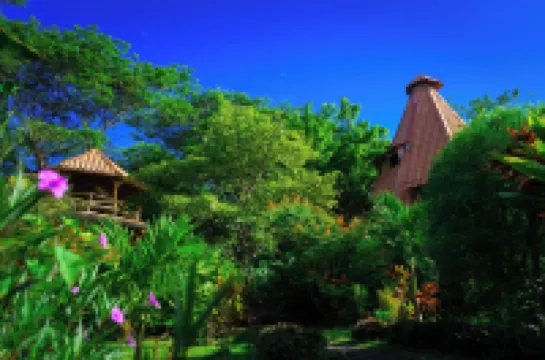 Don Jon's Surf and Yoga Lodge