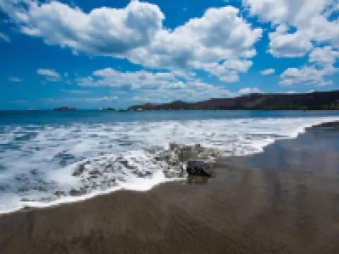 インプレッシブリー デザインド アンド デコレイテッド 3rdフロア スペース オーバールッキング プール イン ココ ココのホテル