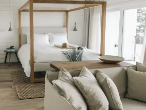 The Surfrider Malibu