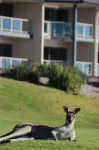 Lady Bay Hotel - parking