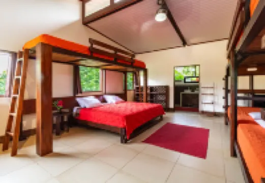 La Anita Rain Forest Hoteles en Liberia