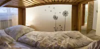 Apartments Laznica