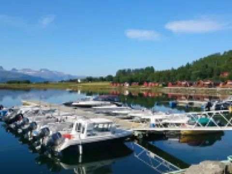 Arctic Seasport Hotels in Bodo