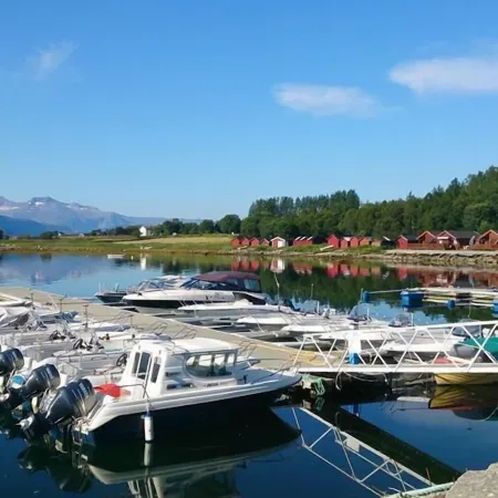 Arctic Seasport