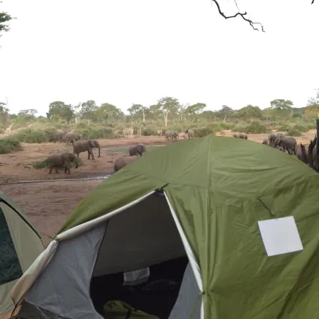 Liya Lodge and Campsite