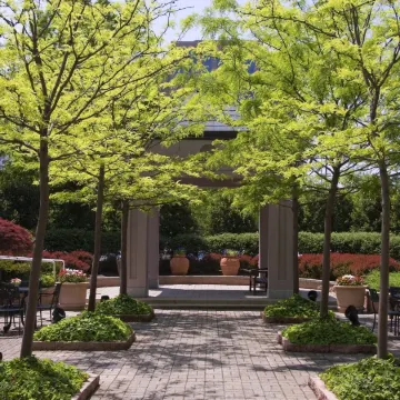 Hyatt Regency Dulles