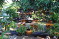 サーレイ リバー ビュー イン のホテル