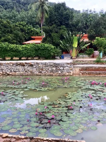 รูปภาพของแอท สิชล รีสอร์ท