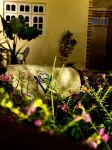 Vieni Qua Grand - spa
