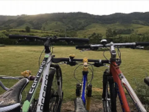 มิสตี้ อิงลิช คอตเทจ