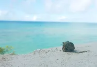 Hyakunagaran - Meerblick