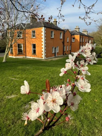 Clone House Event Villa Отели в г. Gorey