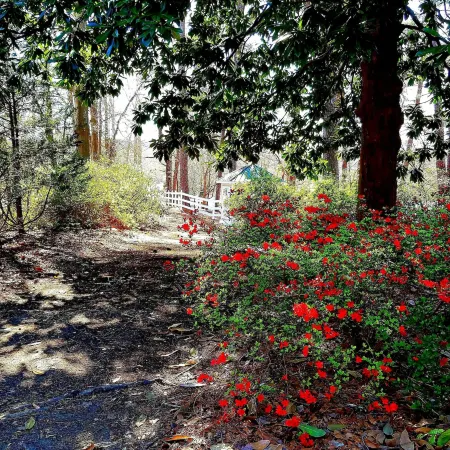Stockbridge Lakes Bed & Breakfast