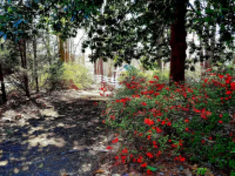 Stockbridge Lakes Bed & Breakfast