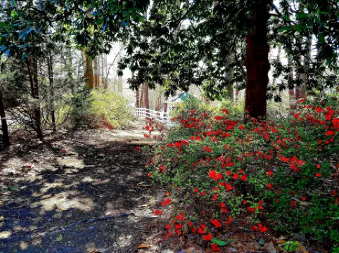 Stockbridge Lakes Bed & Breakfast