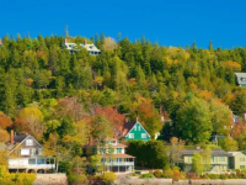 Woodland Apartments - Acadia National Park Hoteles en Tremont