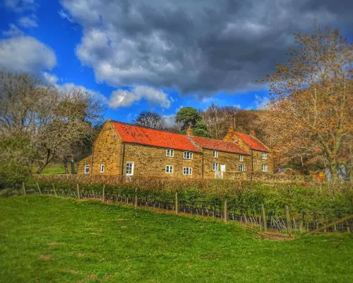 Park House Country Guest House Hotels in Northallerton