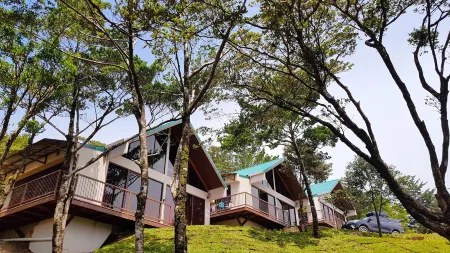Green Forest Rustic Houses