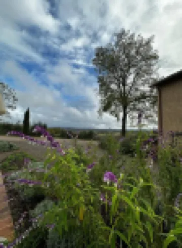 Pensieri di Cavatina