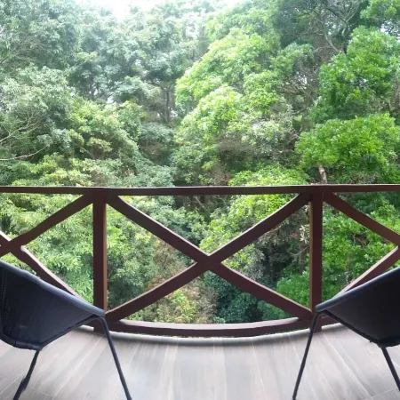 Cabañas Refugio Verde Monteverde
