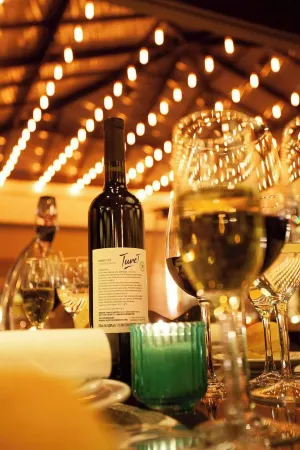 Austral Express Отели рядом с достопримечательностью «TIEMPO PARA CRECER»