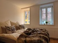 Apartment with roof terrace on the market square - Pets welcome!
