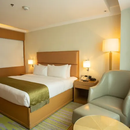 Ion Hotel