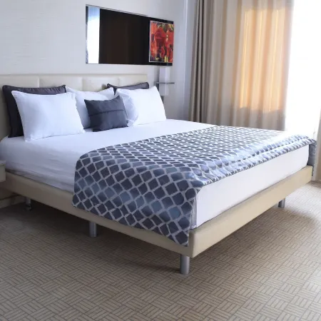 Anitta Hotel Hotel di Çorum
