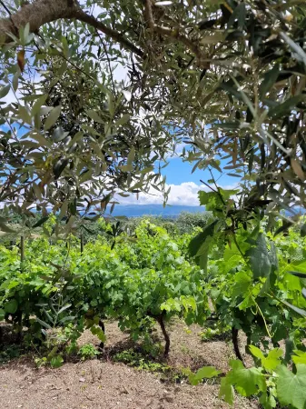 Puro Dão Hotel & Spa Отели в г. Santar