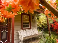 Spetts Cottage Hotels in Walhalla