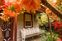 Spetts Cottage Hotels in Walhalla