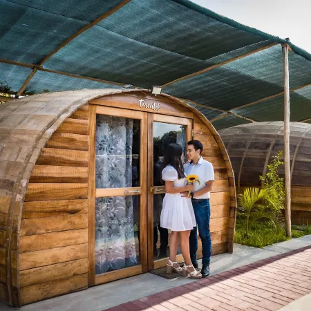 Glamping Toneles Y VIÑEDOS