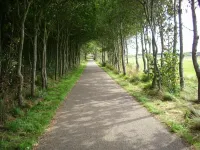 Ameland - apartment with balcony to the south side with a view of meadows and the village of Buren Hotels in Buren