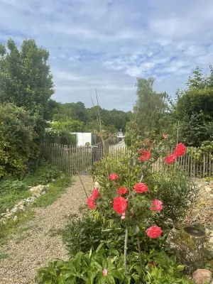 Old restored wine storehouse between sea and forest Hotel a Royan