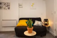 Mimosa fragrance Hotels in Grasse