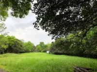 Private Respite Breathe Deeply Cabin with Garden, SwimSpa/Hot Tub, Fire Pit
