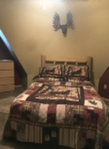 Honey dome Hideout Unique cabin sitting on 5 acres in northern Michigan