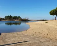Wooden villa facing the sea