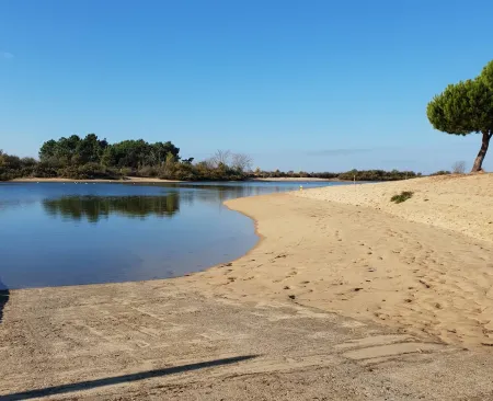 Wooden villa facing the sea Отели рядом с достопримечательностью «Aqualand Bassin d Arcachon»