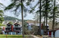Attitash Mountain Resort Condo- 3 Floors, Sleeps 12- Story Land, Ski, Shop, Golf