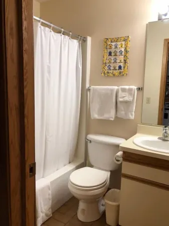 SKI-OUT & IN! Hike, bike, fish, golf, beautiful Lake Superior N Shore/Sleeps 2+