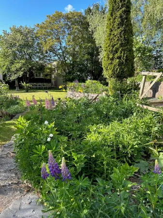 Lilla Huset på Slätten B&B