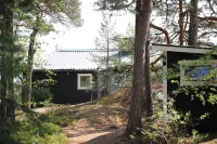 Swedish wooden house