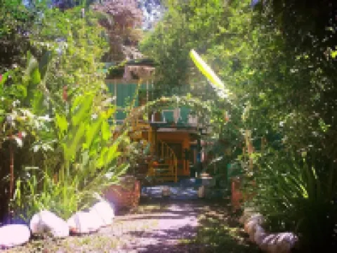 Madre Selva Jungle Hostel Hotels in Cocles