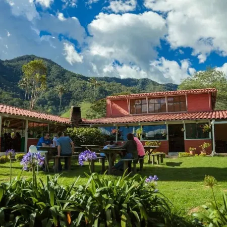 Refugios Nidos del Condor -Cocora-