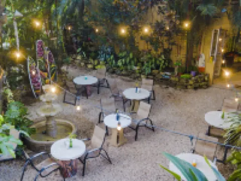El Sano Banano Beachside Hotel Hotels in Montezuma