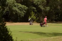 Hotel le Pavillon Bleu Hotels in Hossegor