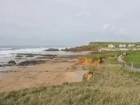 Beachcomber